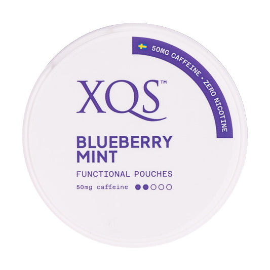 Blueberry Mint Nicotine Pouches by XQS